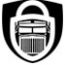 in-transit-security-icon-v2-70B